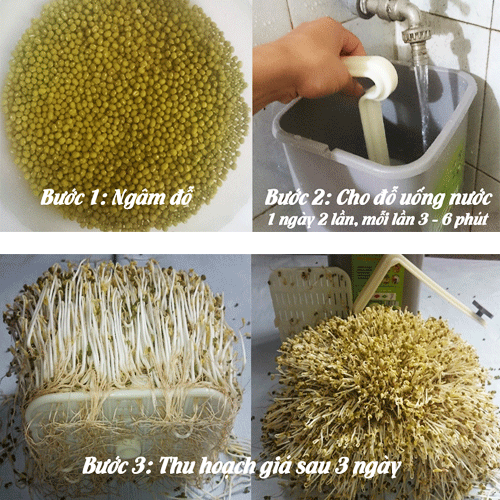 3-buoc-lam-gia-do-sach