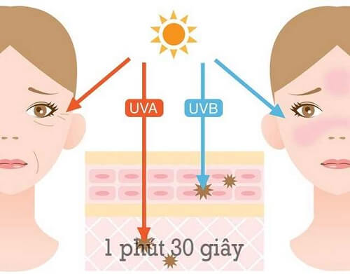 Tia UV không chỉ khiến da tổn thương, lão hóa mà còn ảnh hưởng nghiêm trọng tới sức khỏe con người