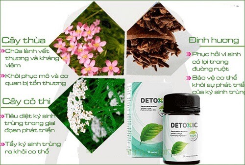 Detoxic Nga với thành phần chứa 100% thảo dược tăng cường hệ miễn dịch cho cơ thể, loại bỏ hôi miệng dễ dàng