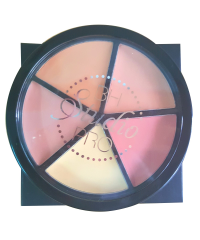 Set-5-o-che-khuyet-diem-Perfecting-Concealer-BH-Cosmetics-1381.jpg