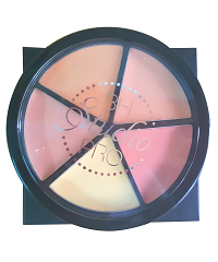 set-5-o-che-khuyet-diem-perfecting-concealer-bh-cosmetics